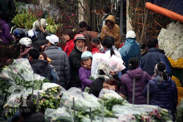 chợ hoa quảng bá